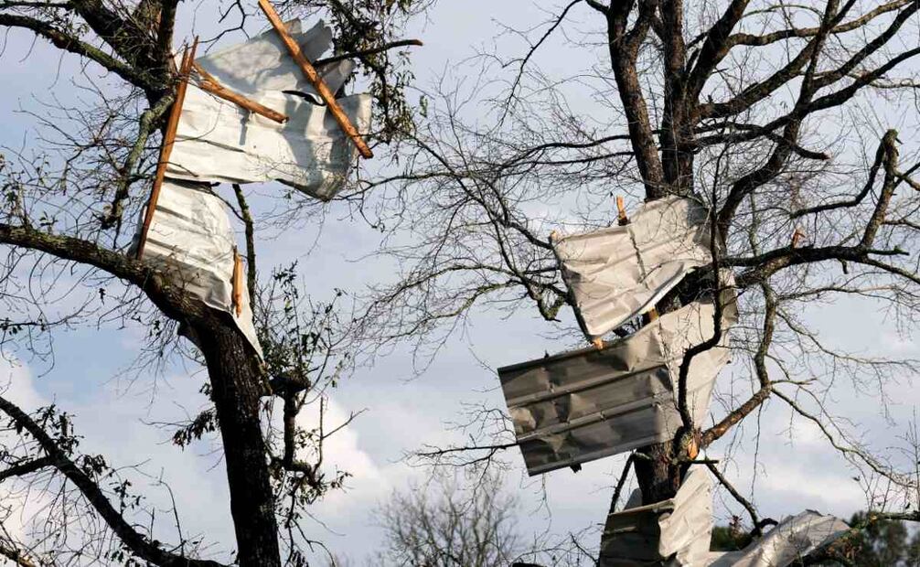 Se ven láminas de metal para techos en los árboles después de que fuertes tormentas eléctricas pasaran por la región del Gran Houston, el sábado 28 de diciembre de 2024, en Porter Heights. Foto: AP
