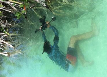 Nat Geo cuenta la vida de los manglares mayas