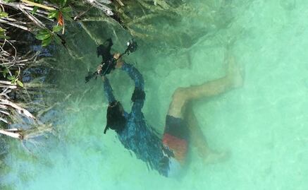 Nat Geo cuenta la vida de los manglares mayas