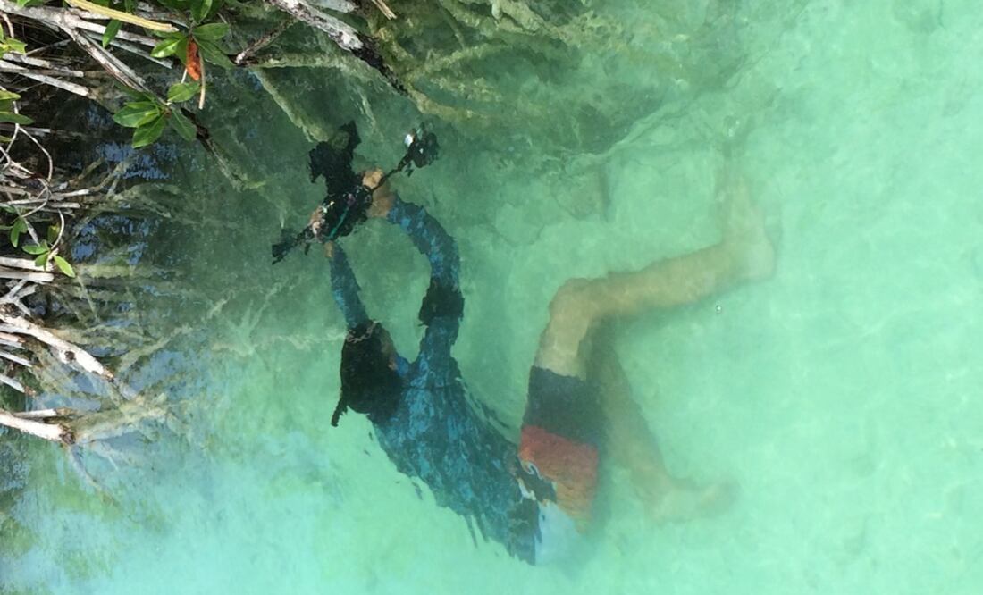 Los manglares ocupan actualmente 775 mil hectáreas, según datos de la Comisión Nacional para el Conocimiento y Uso de la Biodiversidad. (FOTOS: Cortesía NatGeo)