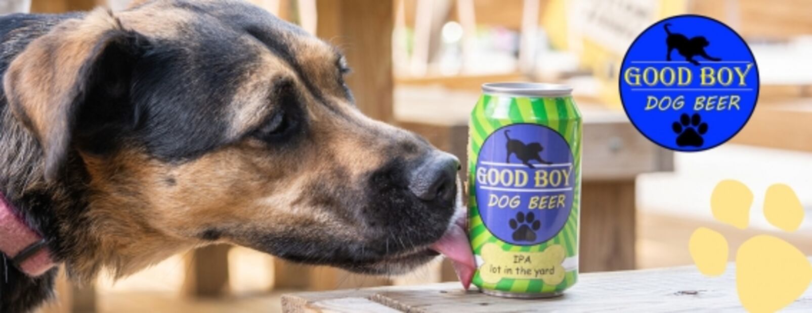 Ya está aquí la chela para tu perro