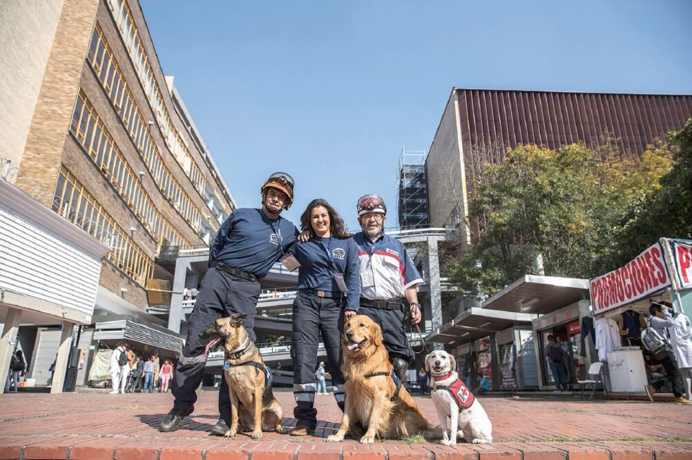 Los perros de rescate de la UNAM Malí , Luxor y Hueso, con sus entrenadores y dueños, Bárbara Olivares y Javier Sotomayor Hernández. (CRISTOPHER ROGEL BLANQUET. EL UNIVERSAL)
