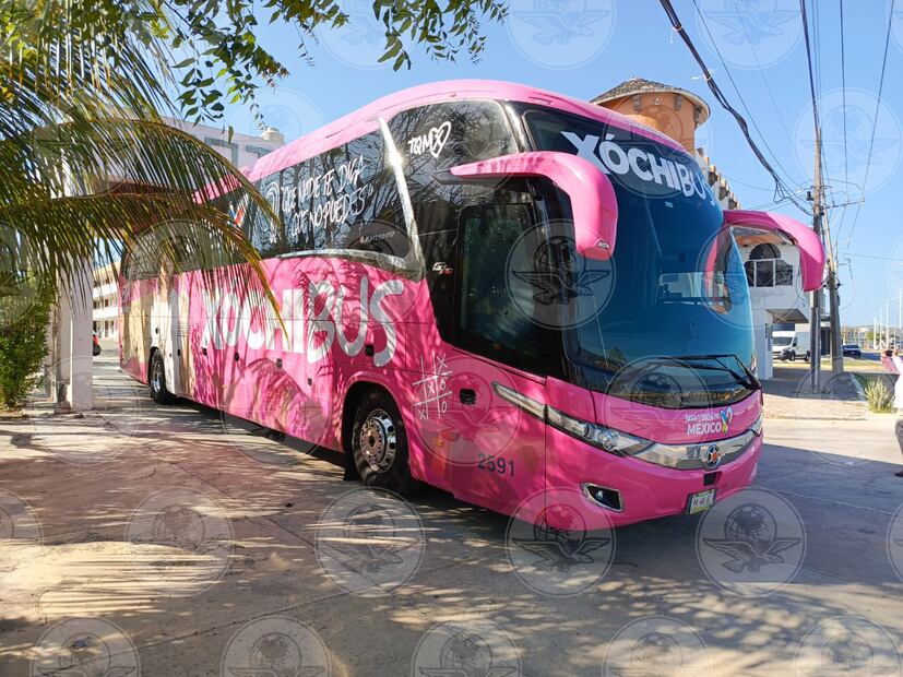 Autobús de Xóchitl Gálvez. Foto: Víctor Gamboa