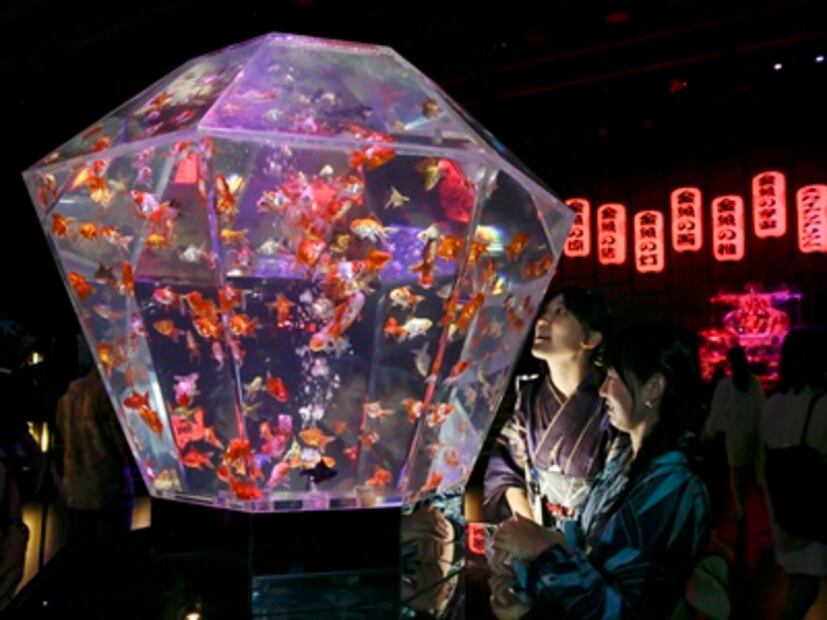 Una exposición en Tokio reinventa los acuarios tradicionales