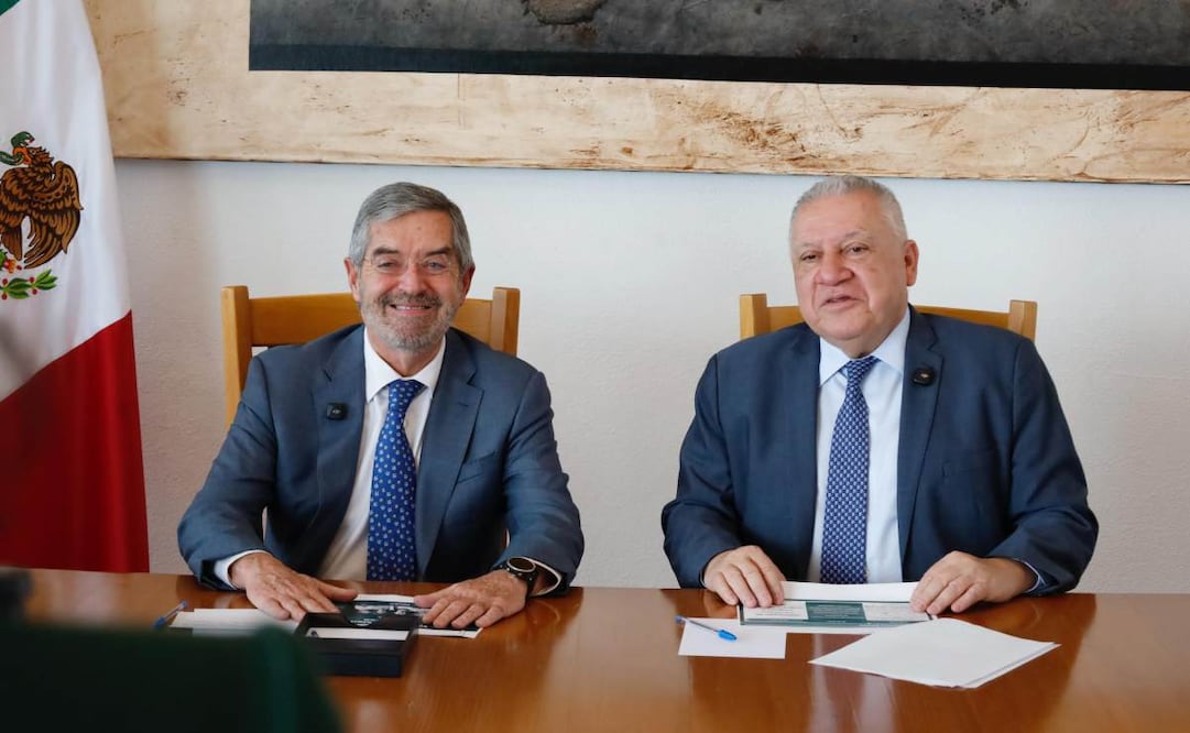 SRE y Aduanas garantizan ingreso de menaje de connacionales. Foto: Especial