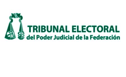 Blindan INE y TEPJF aportaciones privadas a precampañas