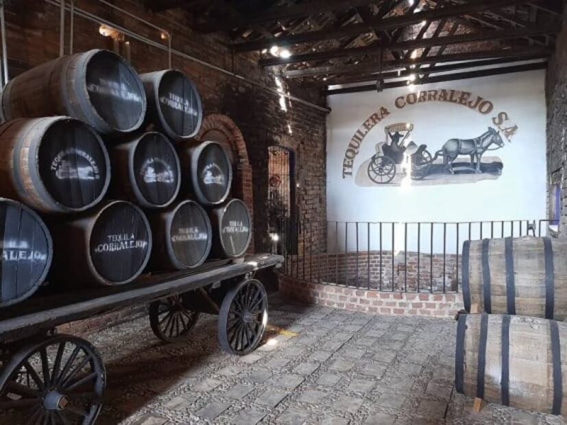 El tequila se hizo para tomarse solo