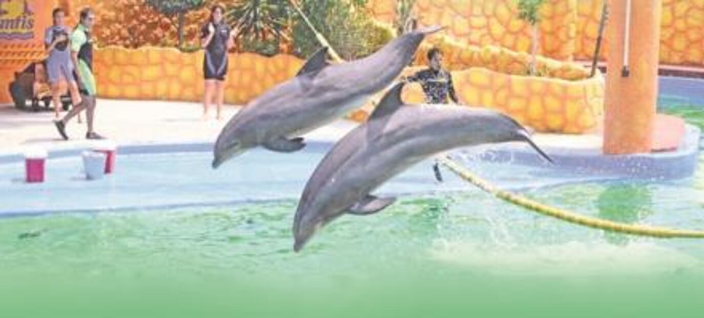 El Foco. La agria tentación de Eva Cadena