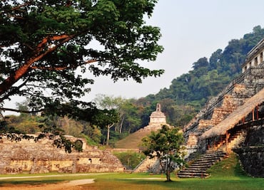The environmental impact of the Maya civilization