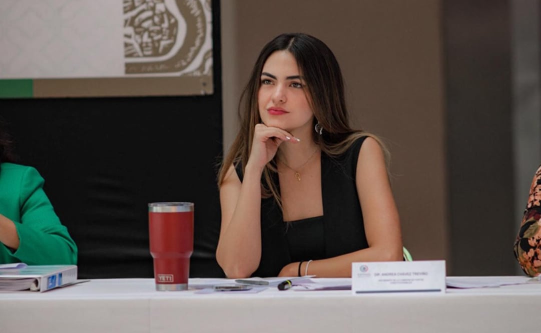 Diputada Andrea Chávez, diputada de Morena. Foto: Instagram @andreachaveztre