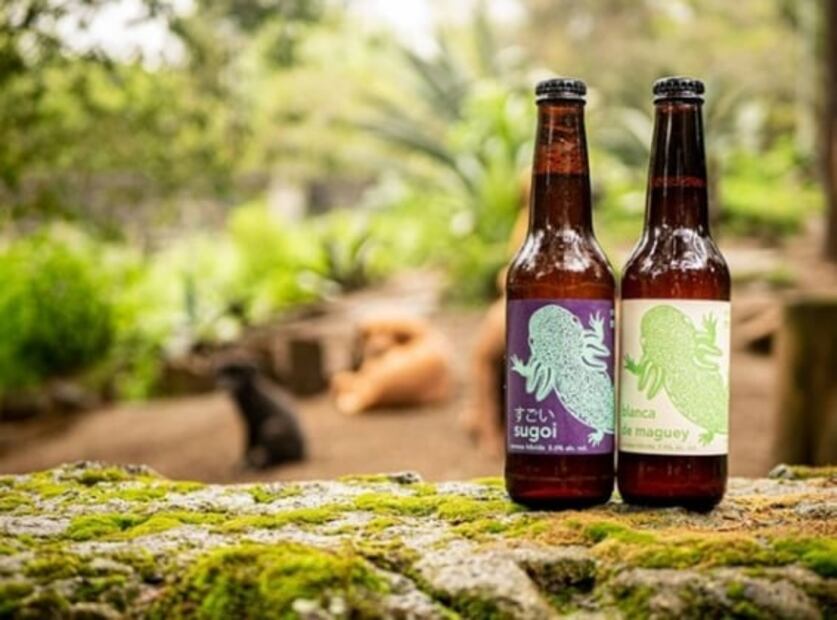 5 cervecerías artesanales en CDMX que puedes comprar sin salir de casa