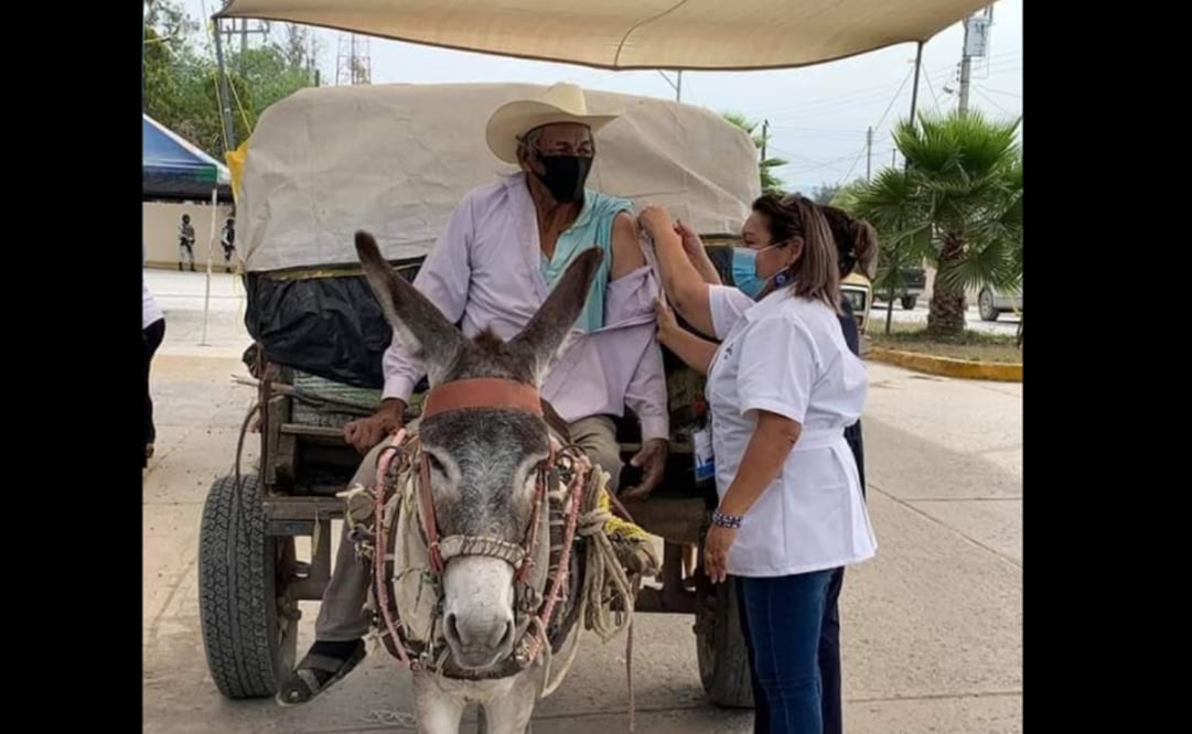 El Presidente difundió la foto de Don Chalo, adulto mayor que llegó a vacunarse en Tamaulipas arriba de una carreta jalada por un burro. Foto:Twitter @lopezobrador_