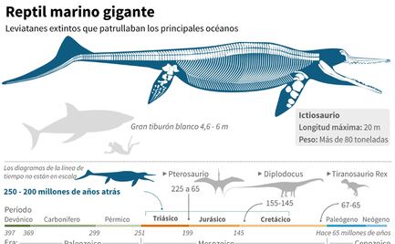 Encuentran el primer fósil completo de un ictiosaurio