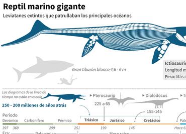Encuentran el primer fósil completo de un ictiosaurio