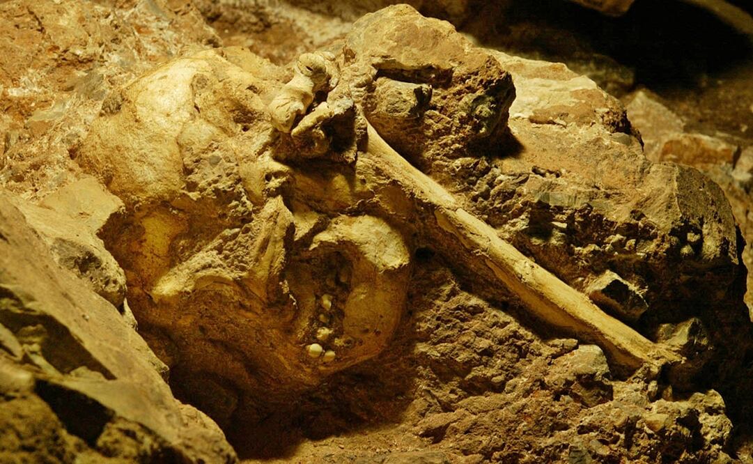 Foto: AP /Yoav Lemmer, archivo