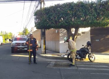 Reportan intenso "olor a ajo" vecinos de colonias en Zapopan y Guadalajara; esto dicen las autoridades