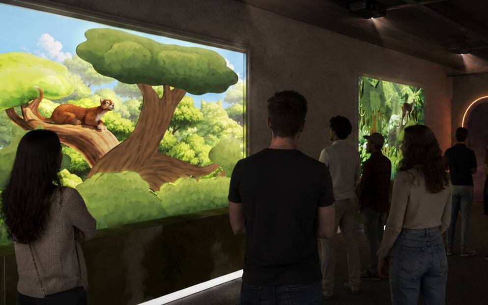 Foto: Museo del Gato