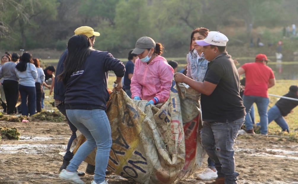 Retiran más de 3 mil toneladas de lirio en presa Yosocuta en Oaxaca; participación ciudadana impulsa limpieza. Foto: Especial