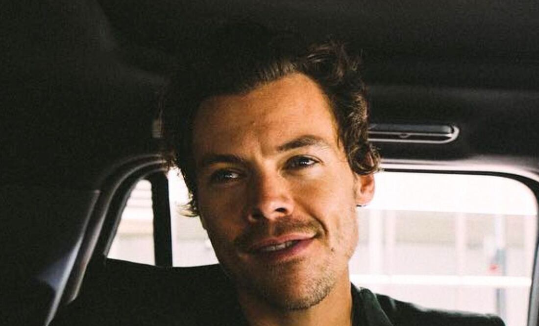 Harry Styles posando. Fuente: Instagram @harrystyles
