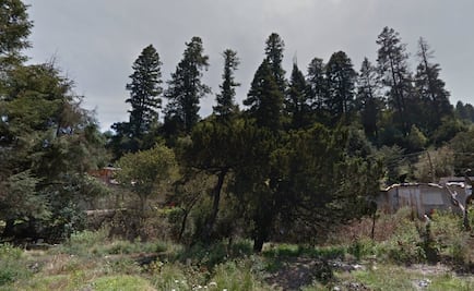 Hallan cuerpo de joven en zona boscosa de Cuajimalpa