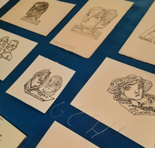 Crisis financiera opaca el 30 aniversario del Museo José Luis Cuevas