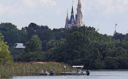 Descartan hallar con vida a niño arrastrado por caimán