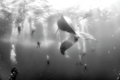 "Un fotógrafo necesita suerte y persistencia"