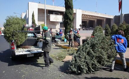 Llaman a no tirar árboles de navidad en vía pública