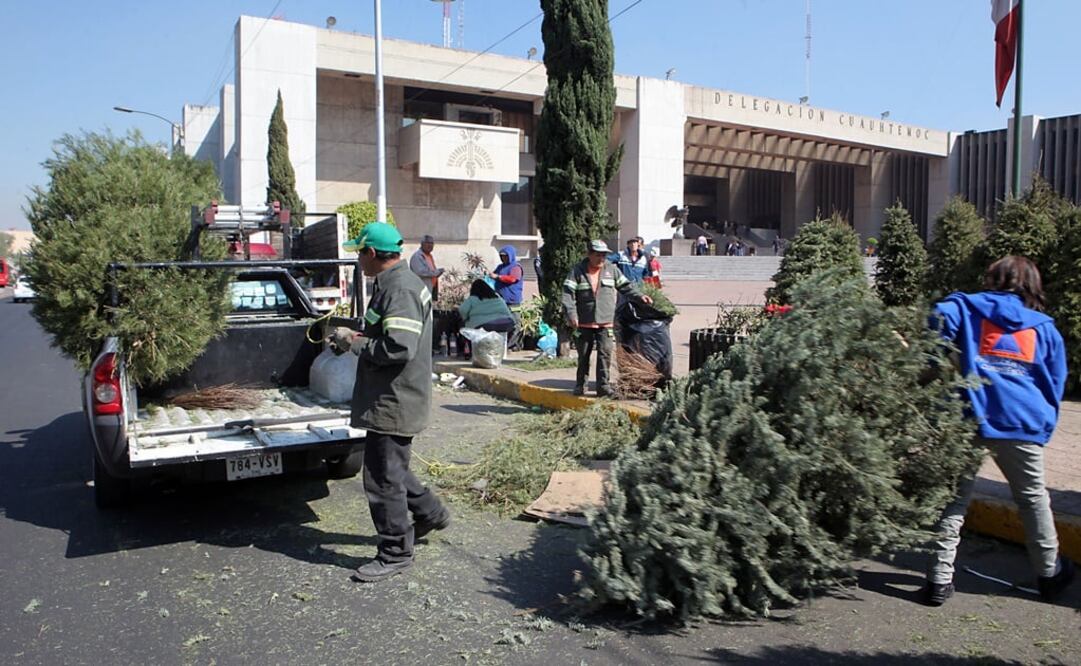 la campaña “Árbol por Árbol por tu ciudad reverdece” prevé centros de acopios en explanadas delegacionales y puntos comerciales. /Archivo - EL UNIVERSAL