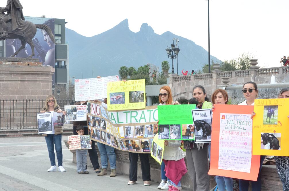 Foto: Emilio Vásquez / EL UNIVERSAL