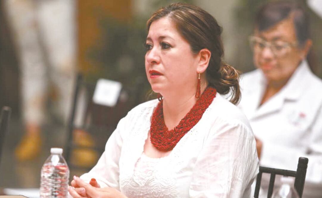 Guadalupe Argüelles Lozano, exsecretaria del Trabajo y Previsión Social de Veracruz. Foto: Especial