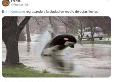 El Yellow Day, los microsismos y el solsticio en los memes de la semana