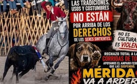 Escala polémica por corridas de toros en Yucatán; convocan a dos manifestaciones para este domingo 30 de agosto