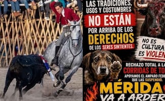 Escala polémica por corridas de toros en Yucatán; convocan a dos manifestaciones para este domingo 30 de agosto