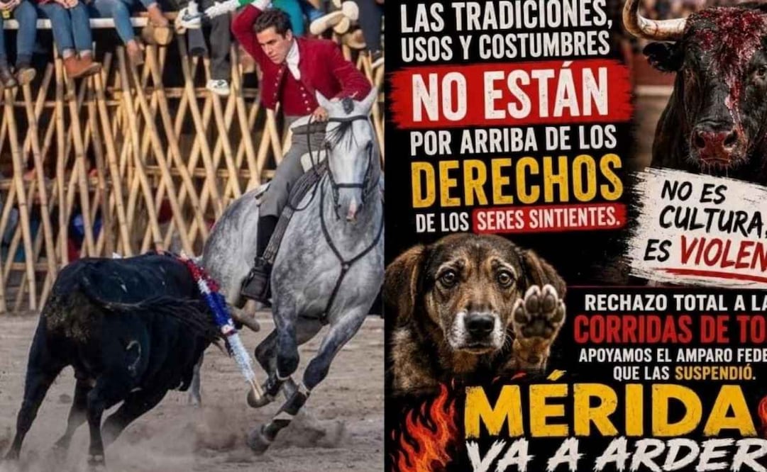La polémica sobre las corridas de toros en Yucatán se trasladó de los tribunales a las calles; mañana domingo se realizarán dos marchas por estos eventos taurinos, una a favor y otra en contra. | Foto: Especial.