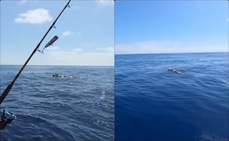 Recuperan torpedo inerte frente a costas del balneario de Ensenada, BC; fue hallado a la deriva por pescadores