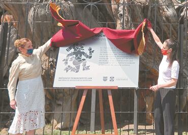 Es oficial: “Plaza de la Noche Victoriosa”