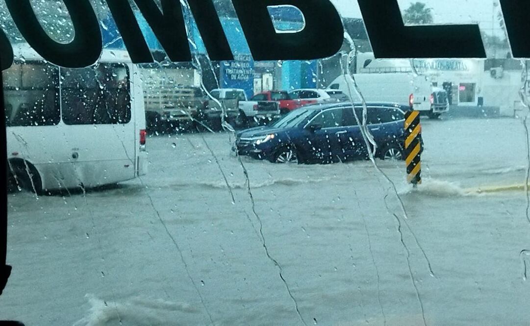 Foto tomada de Twitter