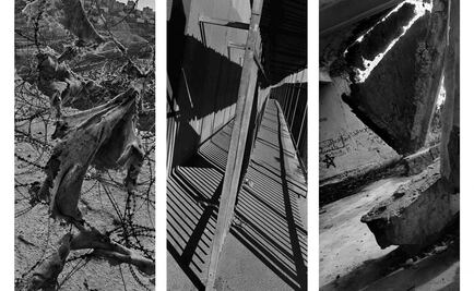 Museos Vaticanos incluyen arte contemporáneo a su acervo cultural