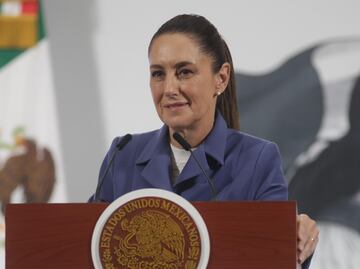 Sheinbaum asegura que no se protege a Alfonso Romo tras acusaciones de EU; no vamos a favorecer nunca a nadie, asegura