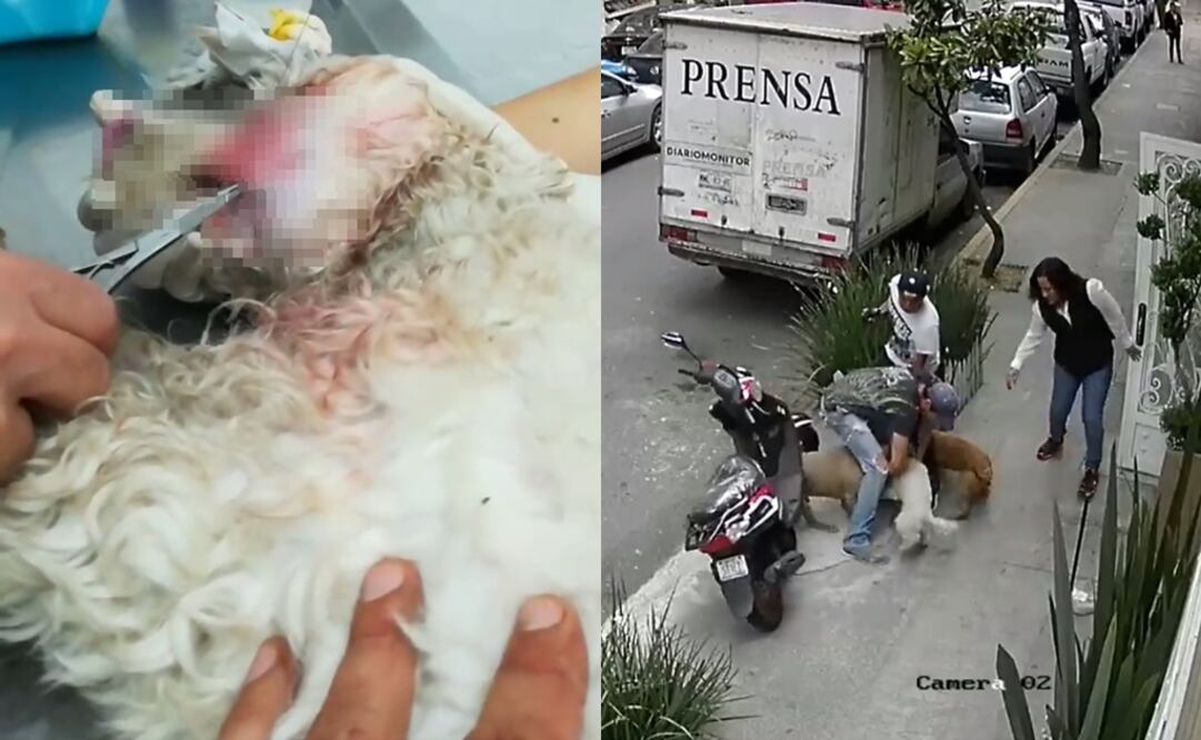 (Foto: Facebook/Matthew Roberts) 