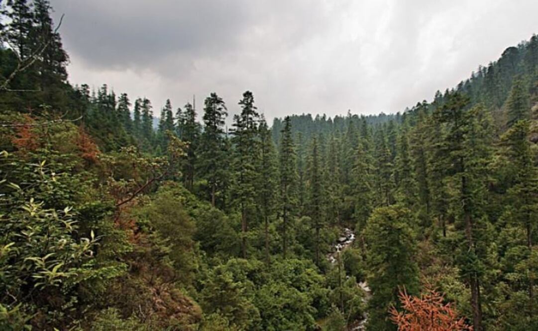 Foto: Turismo Ciudad de México