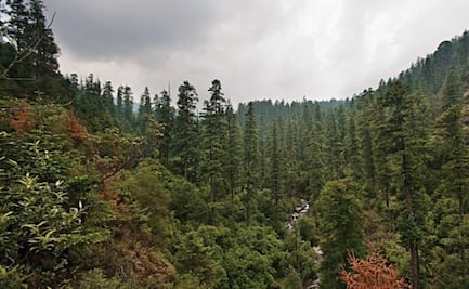 Cabañas y recorridos guiados en el Parque de los Dinamos, al sur de CDMX