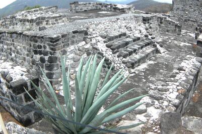Los recalentados de la Secretaría de Cultura