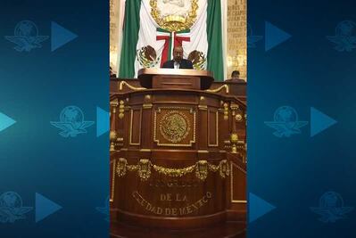 Morena propone en Congreso de CDMX que animales hereden bienes de sus amos