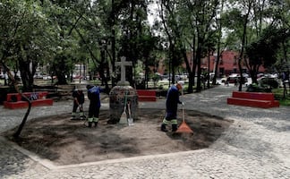Rehabilitan Plaza de la Conchita en Coyoacán; tendrá nuevo jardín polinizador 