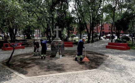 Rehabilitan Plaza de la Conchita en Coyoacán; tendrá nuevo jardín polinizador