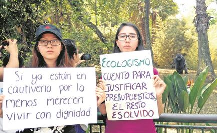 Entérate. Las muertes de animales en zoos de la CDMX