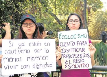 Entérate. Las muertes de animales en zoos de la CDMX