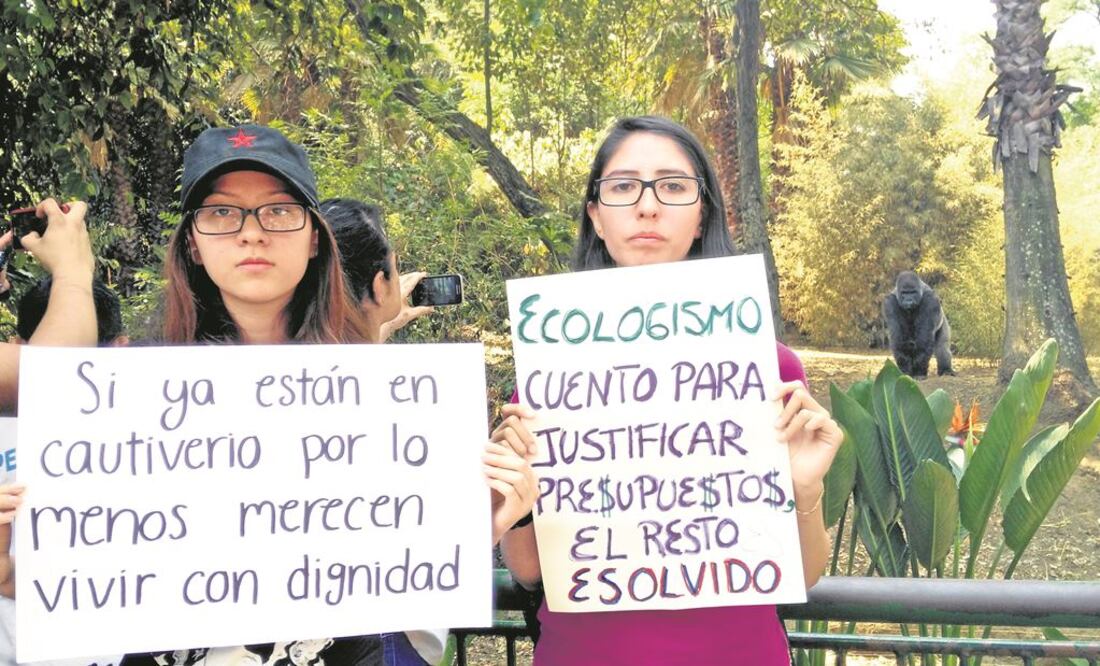 Entérate. Las muertes de animales en zoos de la CDMX